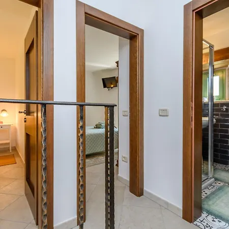 House Barba Frane Vižinada